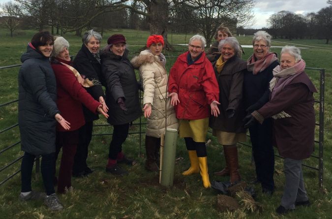 Trustee ladies planting a tree